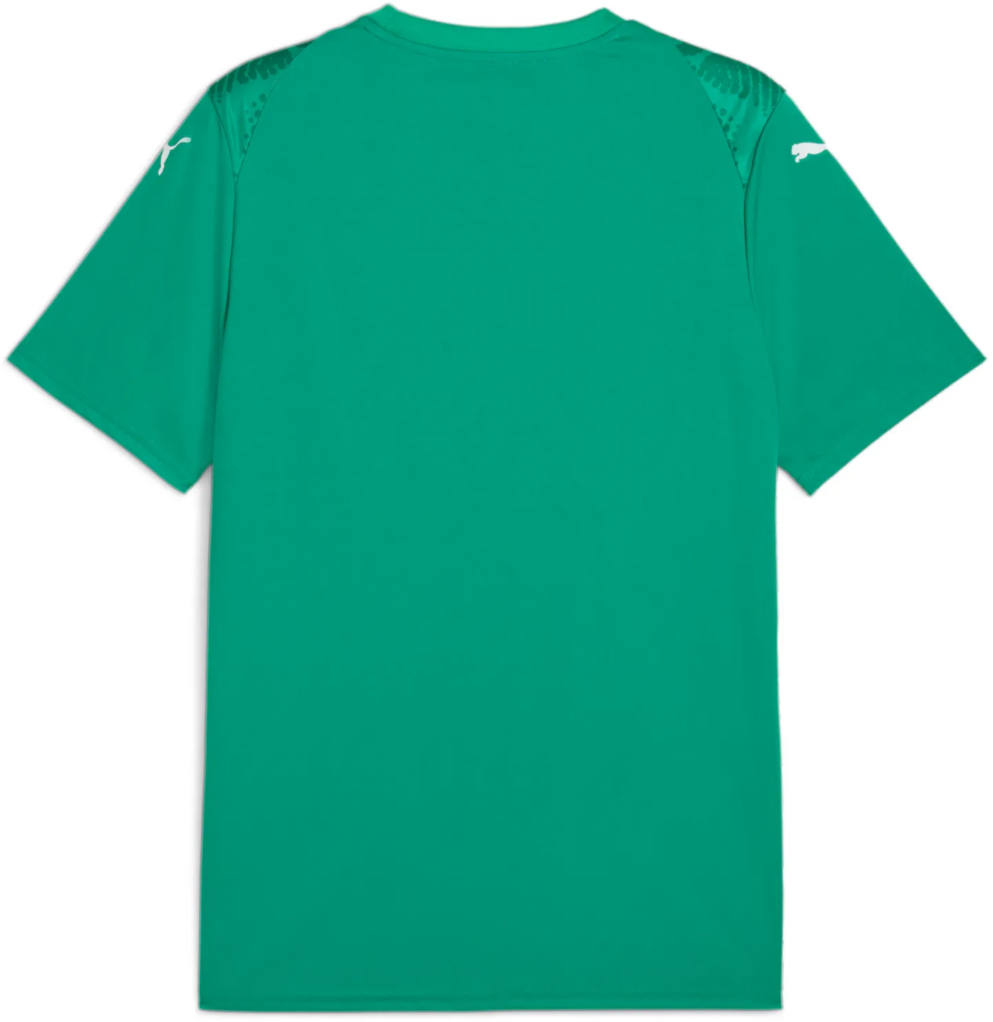 Jersey Puma Puma teamULTIMATE Jersey Grøn | 706280-05, 1