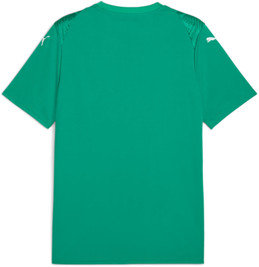 Jersey Puma Puma teamULTIMATE Jersey Grøn | 706280-05, 1
