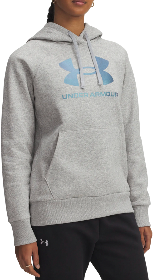 Sweatshirt Under Armour Rival Fleece Shimmer Hoodie Grå | 6003710-011