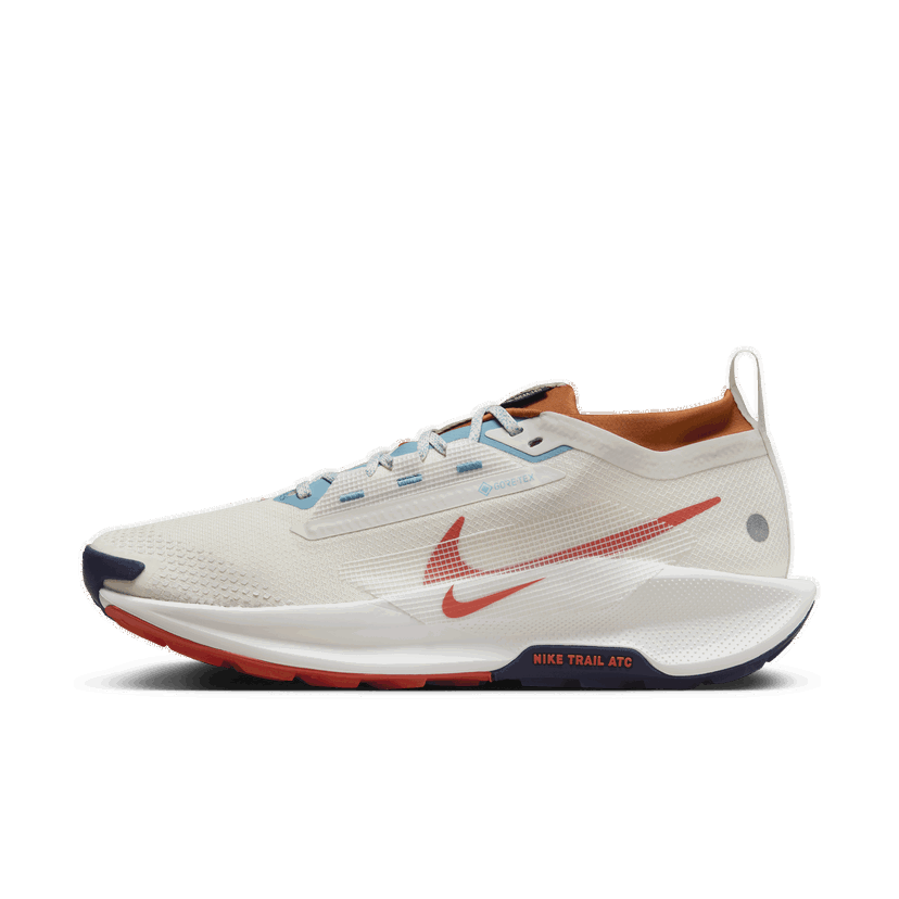 Løbe Nike Pegasus Trail 5 GORE-TEX Grå | FQ0908-003