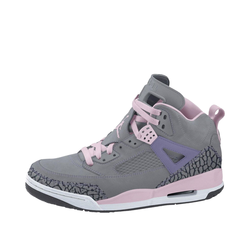 Sneakers og sko Jordan Jordan Spizike Grå | 535712-028