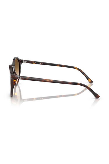 Solbriller Ray-Ban Ray-Ban Round Sunglasses RB2230 Brun | 0RB2230, 2
