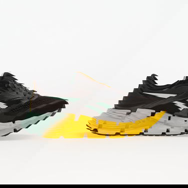 Sneakers og sko Reebok Floatzig 2 Flerfarvet | 100225501, 2