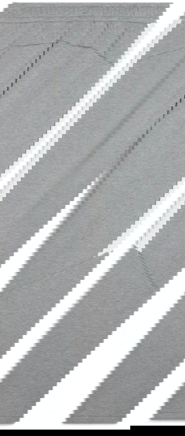 Joggingbukser Puma Puma teamEVOSTRIPE Pants Grå | 659948-33, 1