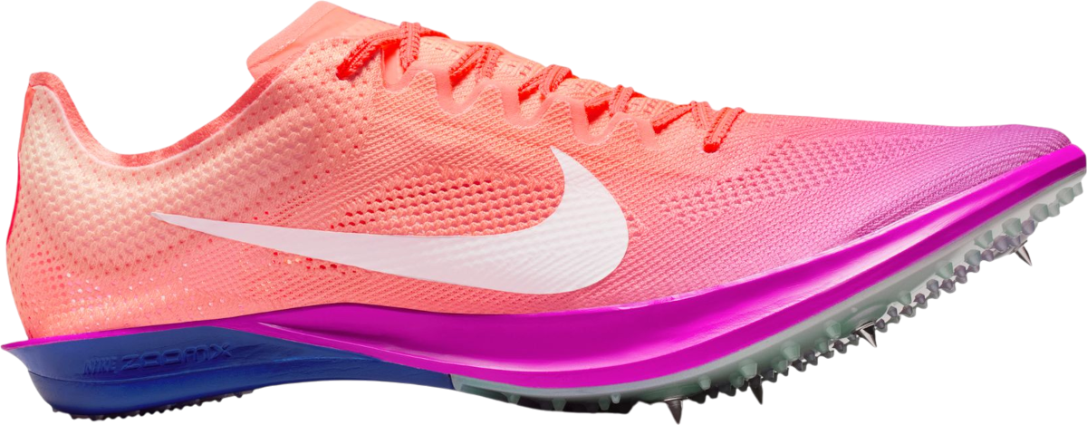 Sneakers og sko Nike Dragonfly 2 RSG Flerfarvet | io0310-800, 0