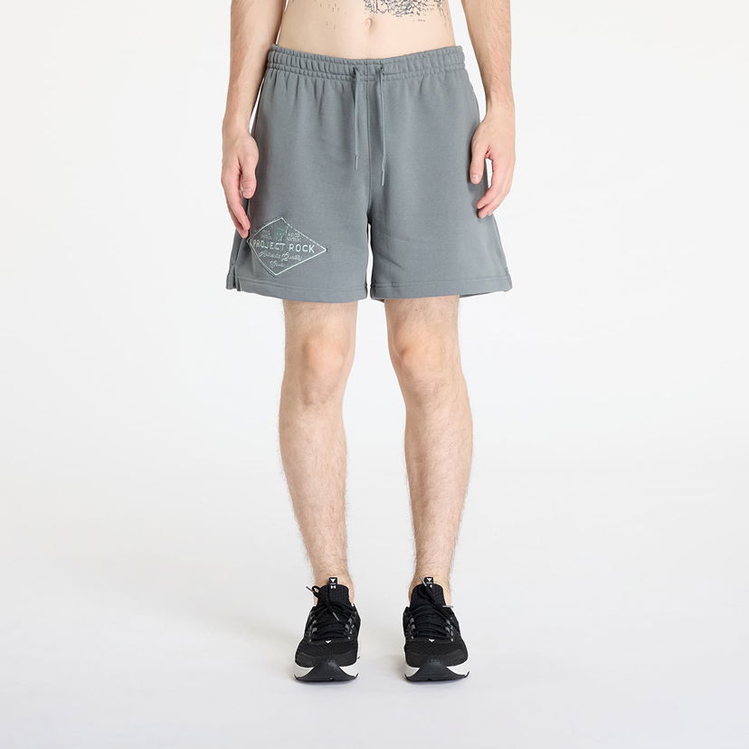 Shorts Under Armour Project Rock Heavyweight Tools Shorts Clay Green/ Clay Green Grøn | 1386901-709