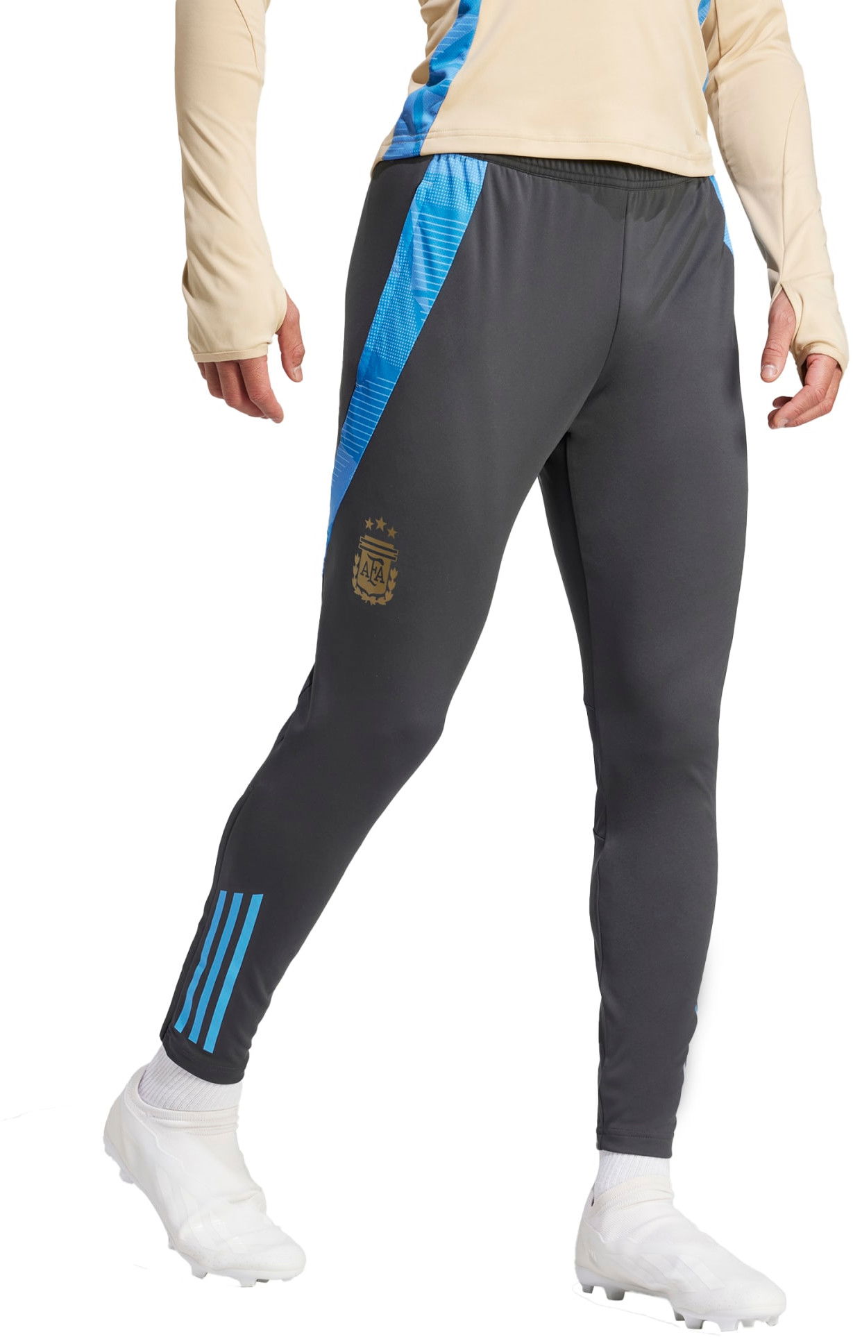 Bukser adidas Originals AFA TR PNT 2024 Grå | iq0824, 0