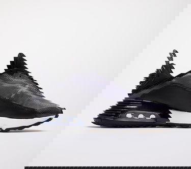 Sneakers og sko Nike W Air Max 2090 Sort | CK2612-002, 1