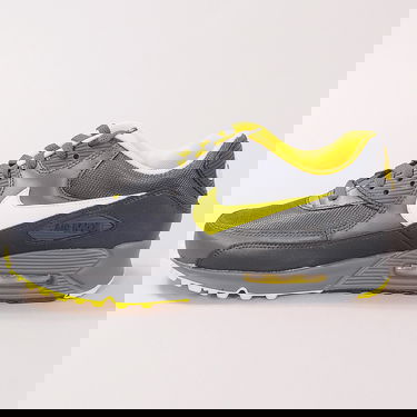 Sneakers og sko Nike Air Max 90 Grå | 325018 070, 0