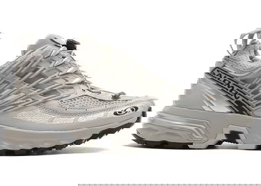 Sneakers og sko Salomon ACS Pro "Metal Silver" Grå | L47299100, 1