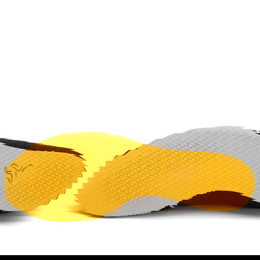 Sneakers og sko Puma H-Street Jamaica Sort | 403775-02, 5