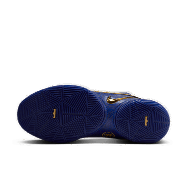 Sneakers og sko Nike Monopoly x LeBron 22 Blå | HV5145-400, 2