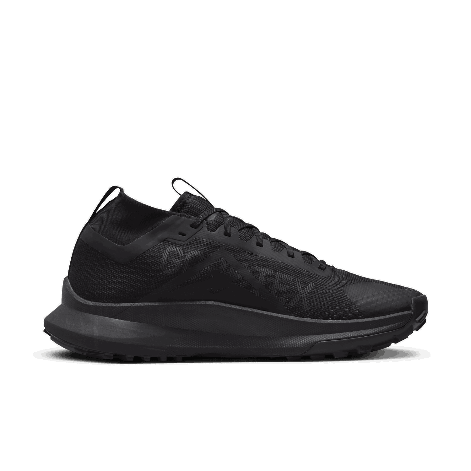 Sneakers og sko Nike Pegasus Trail 4 GORE-TEX Sort | DJ7926-008, 1