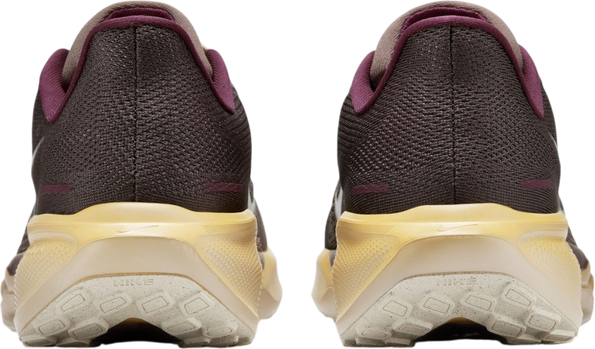 Sneakers og sko Nike Pegasus 41 Premium Brun | hv4327-299, 1