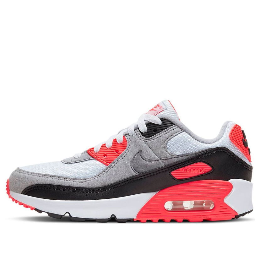 Sneakers og sko Nike Air Max 90 Grå | DC8334-100
