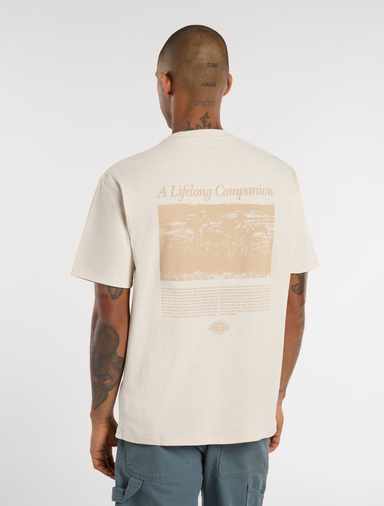 T-shirt Dickies Graphic T-shirt Companion Script Beige | DK:0A4Z92:F90:M::1:, 0