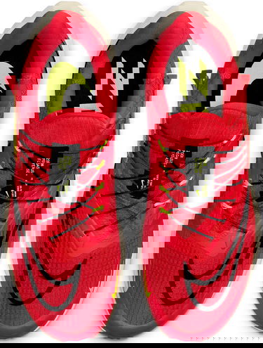 Sneakers og sko Nike Air Zoom Pegasus 39 FlyEase Rød | dj7381-600, 3