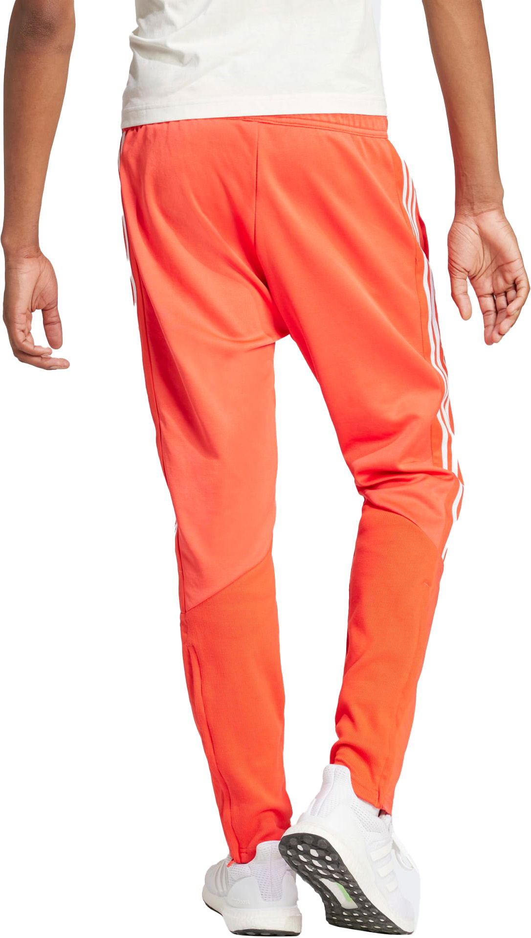 Joggingbukser adidas Performance adidas Sportswear M TIRO PT Q1 Rød | is1500, 1