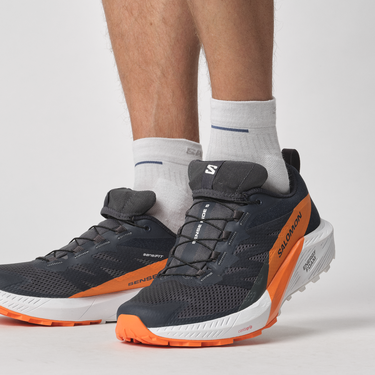 Sneakers og sko Salomon SENSE RIDE 5 GTX Sort | l47459400, 1