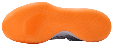 Sneakers og sko Nike Nike Zoom Hyperspeed Court SE Grå | dj4476-900, 1