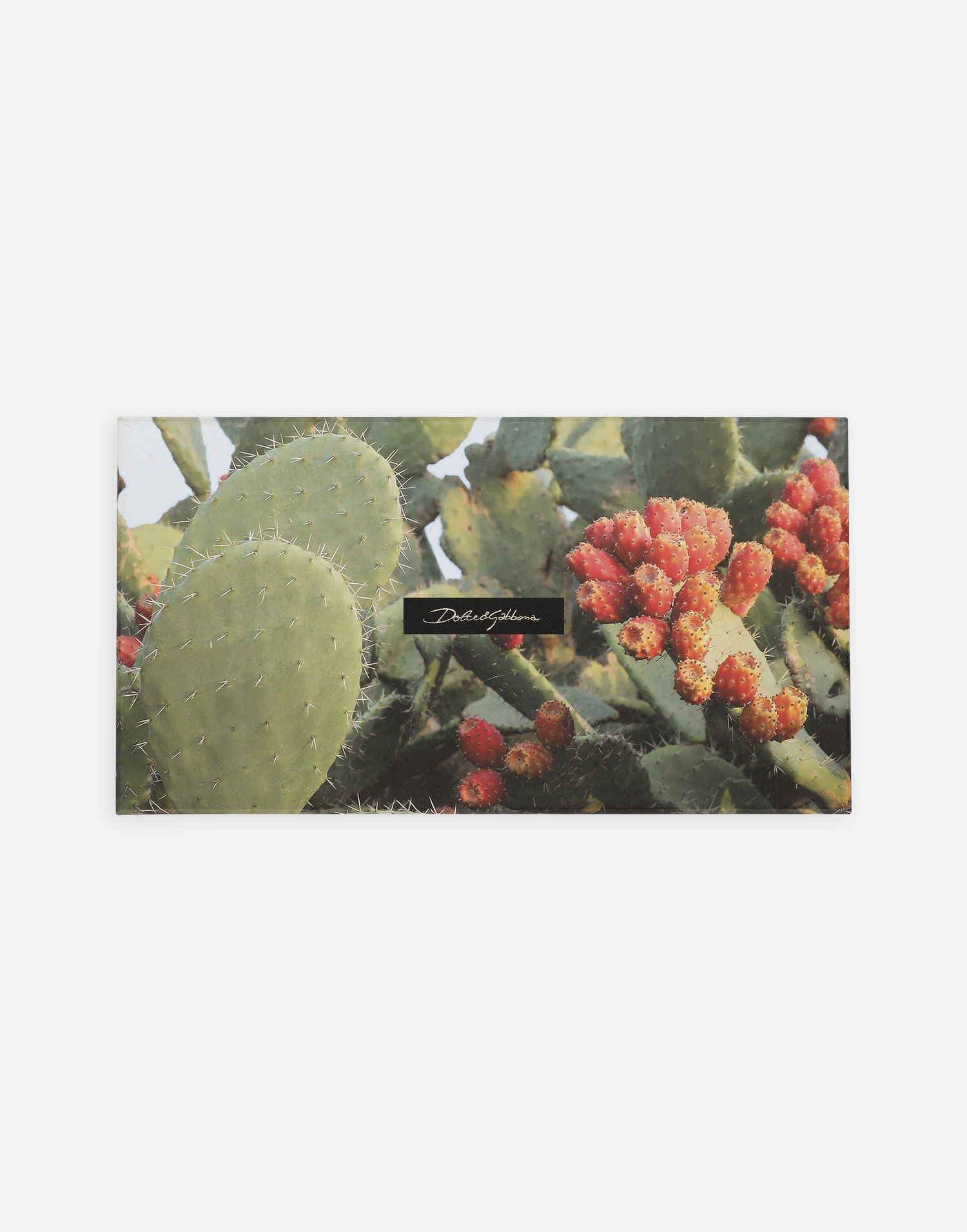Tegnebog Dolce & Gabbana Cactus Print Greeting Cards Set With Envelopes Grøn | TCCS06TCAG1U0008, 0
