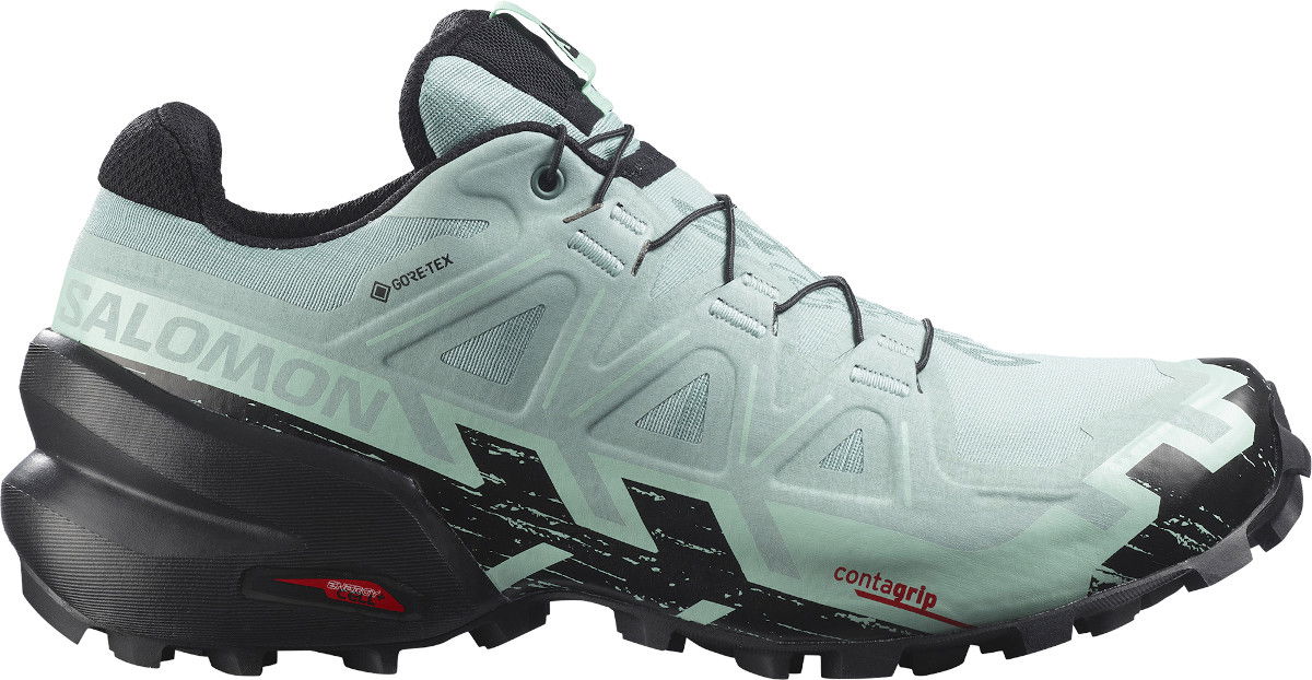 Sneakers og sko Salomon Speedcross 6 Gore-Tex Turkis | l41743500, 0