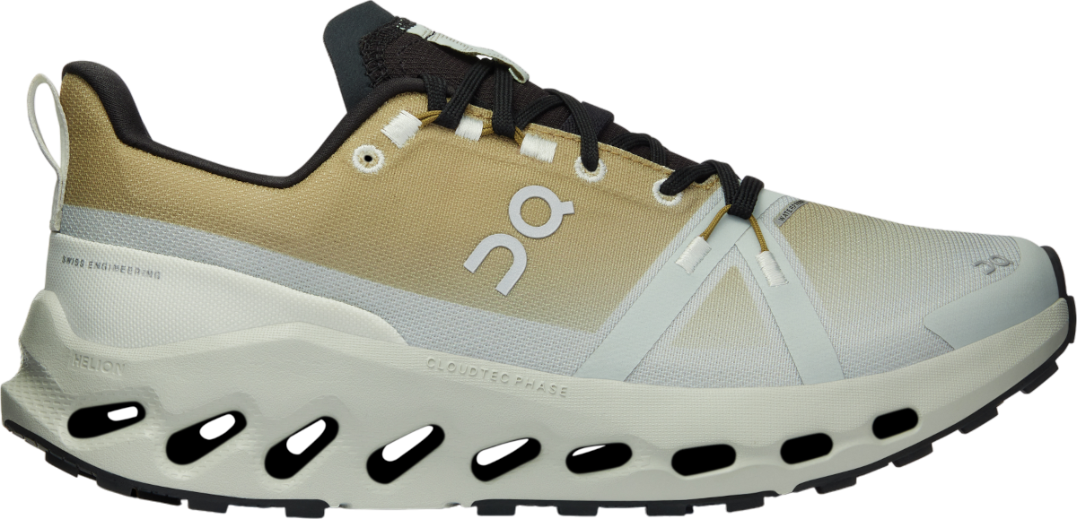 Sneakers og sko On Running Cloudsurfer Trail Waterproof Grå | 3we10292065, 0