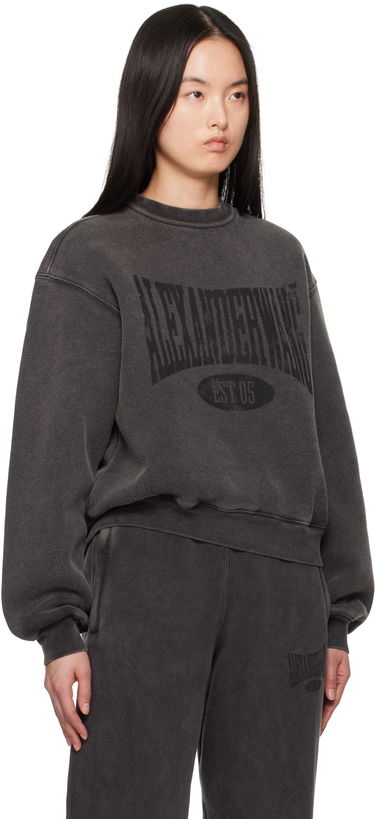 Sweater Alexander Wang Alexander Wang Distressed Logo Sweatshirt Grå | 4CC2251539, 1