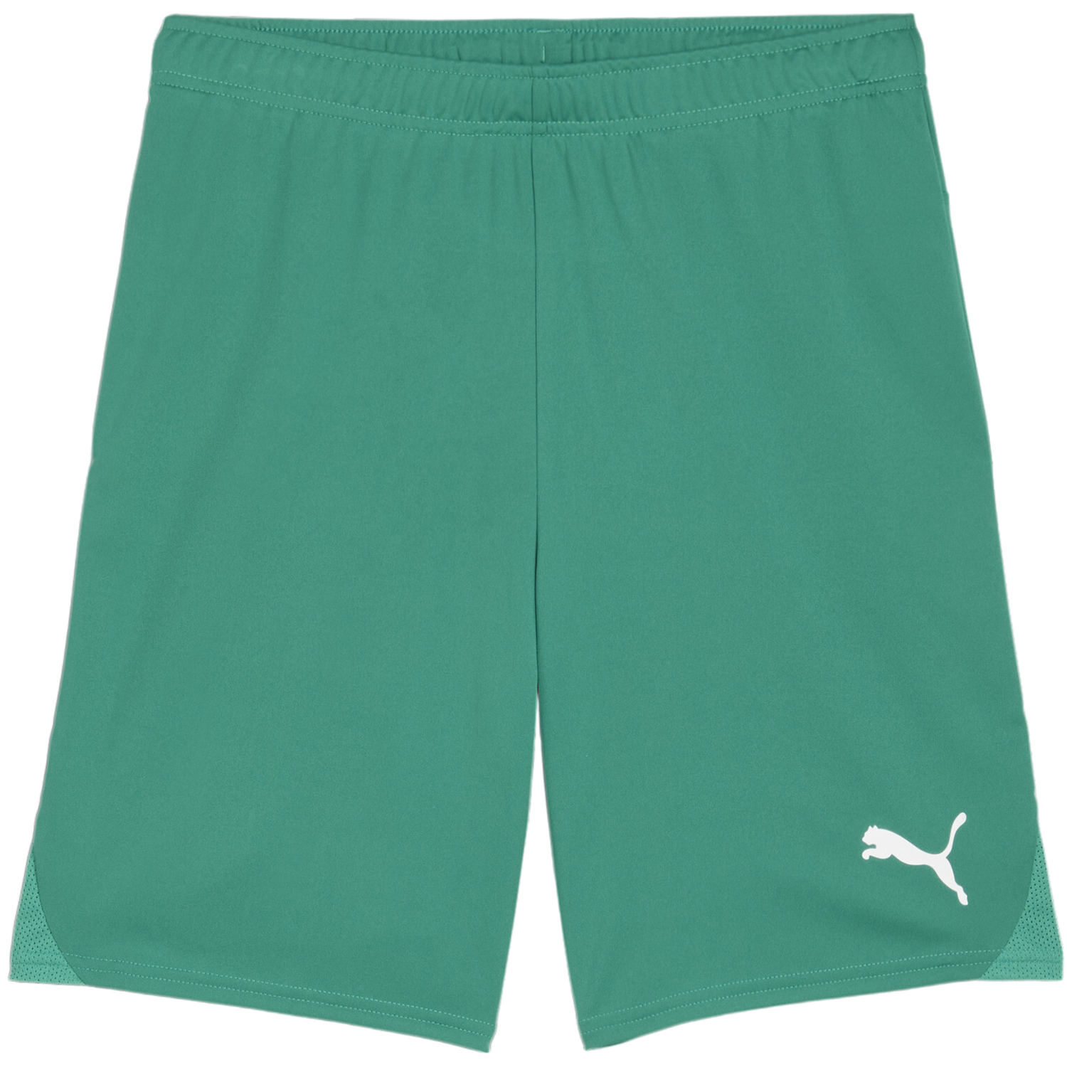 Shorts Puma teamGOAL Shorts Grøn | 705752-05, 0