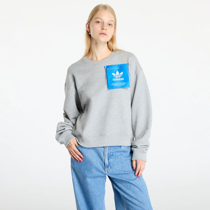 Sweatshirt adidas Originals KSENIASCHNEIDER Label Sweashirt Grå | IW5666