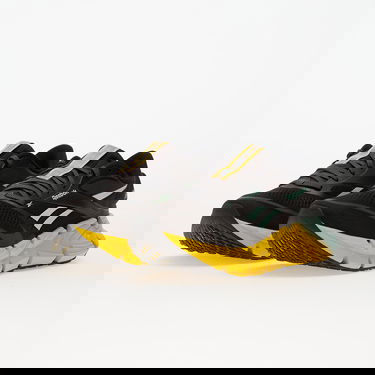 Sneakers og sko Reebok Floatzig 2 Flerfarvet | 100225501, 5