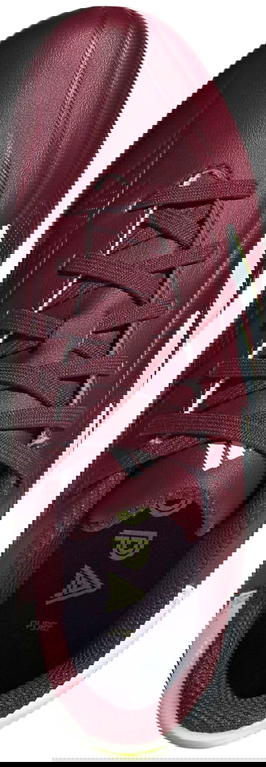 Sneakers og sko adidas Performance Copa Pure II League FG Bourgogne | IE7494, 1