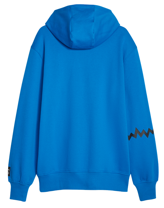 Sweatshirt Puma Hoops Team Hoodie Blå | 676648-05, 1
