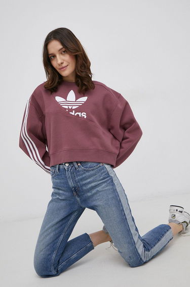 Sweatshirt adidas Originals Sweatshirt Adicolor Lilla | HC4620, 0