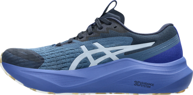 Sneakers og sko Asics GT-2000 14 LITE-SHOW Blå | 1012b901-400, 4