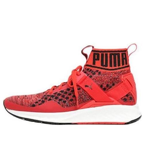 Sneakers og sko Puma Ignite EvoKnit Rød | 189697-02, 0