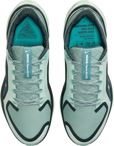 Sneakers og sko Nike Pegasus 41 GORE-TEX Turkis | fq1357-003, 2