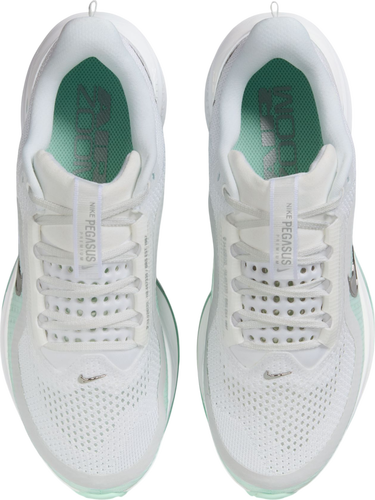 Sneakers og sko Nike Pegasus Premium Hvid | hq2593-103, 2