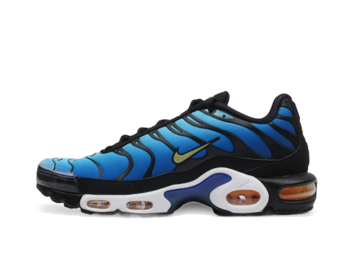 Sneakers og sko Nike Air Max Plus OG Blå | BQ4629-003
