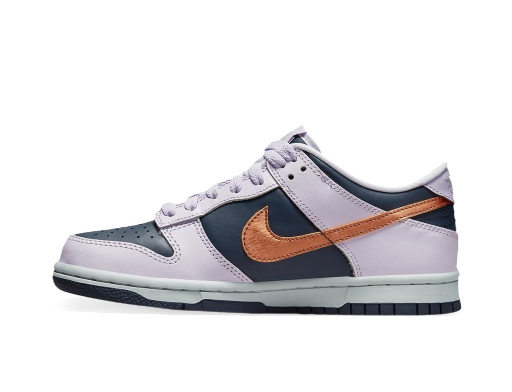 Lifestyle Nike Dunk low Copper Swoosh (GS) Grå | DX1663-400