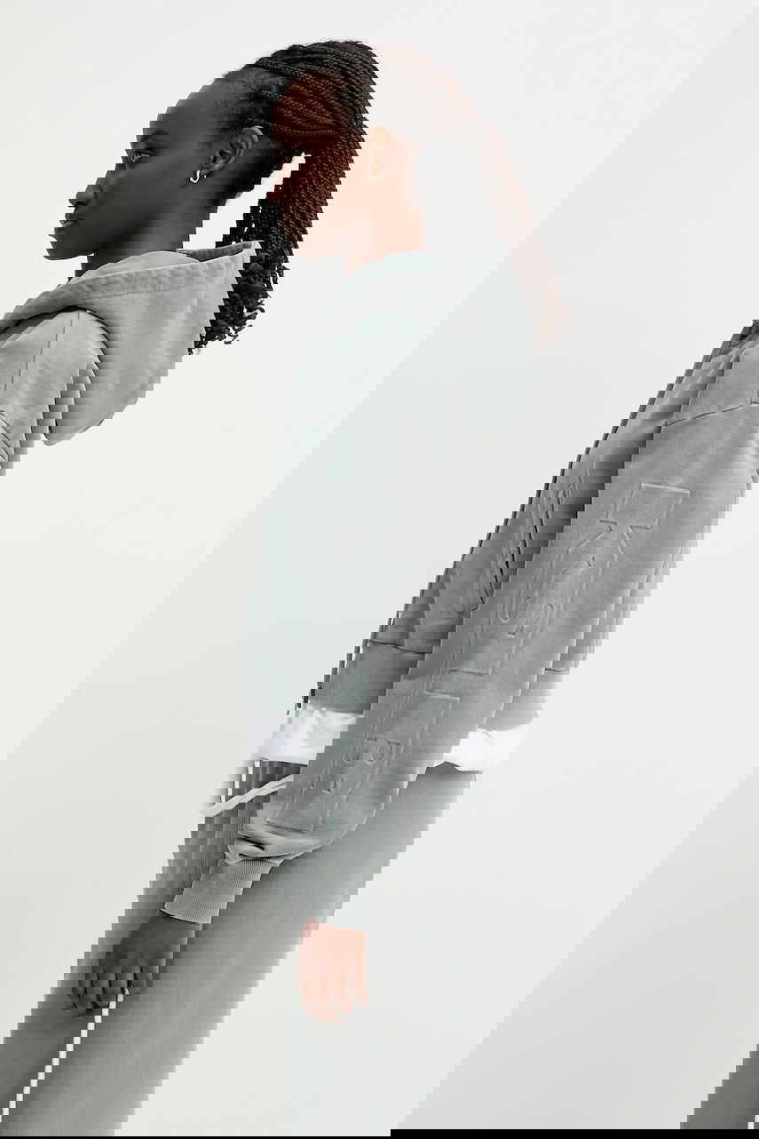 Sweatshirt Ksubi KSUBI Sott Origin Cropped Hoodie Grå | WSP25FL003, 1