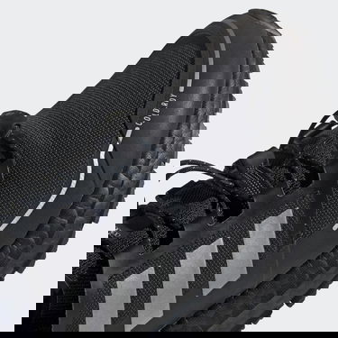 Sneakers og sko adidas Performance ULTRABOOST C.RDY Sort | Q46487, 5