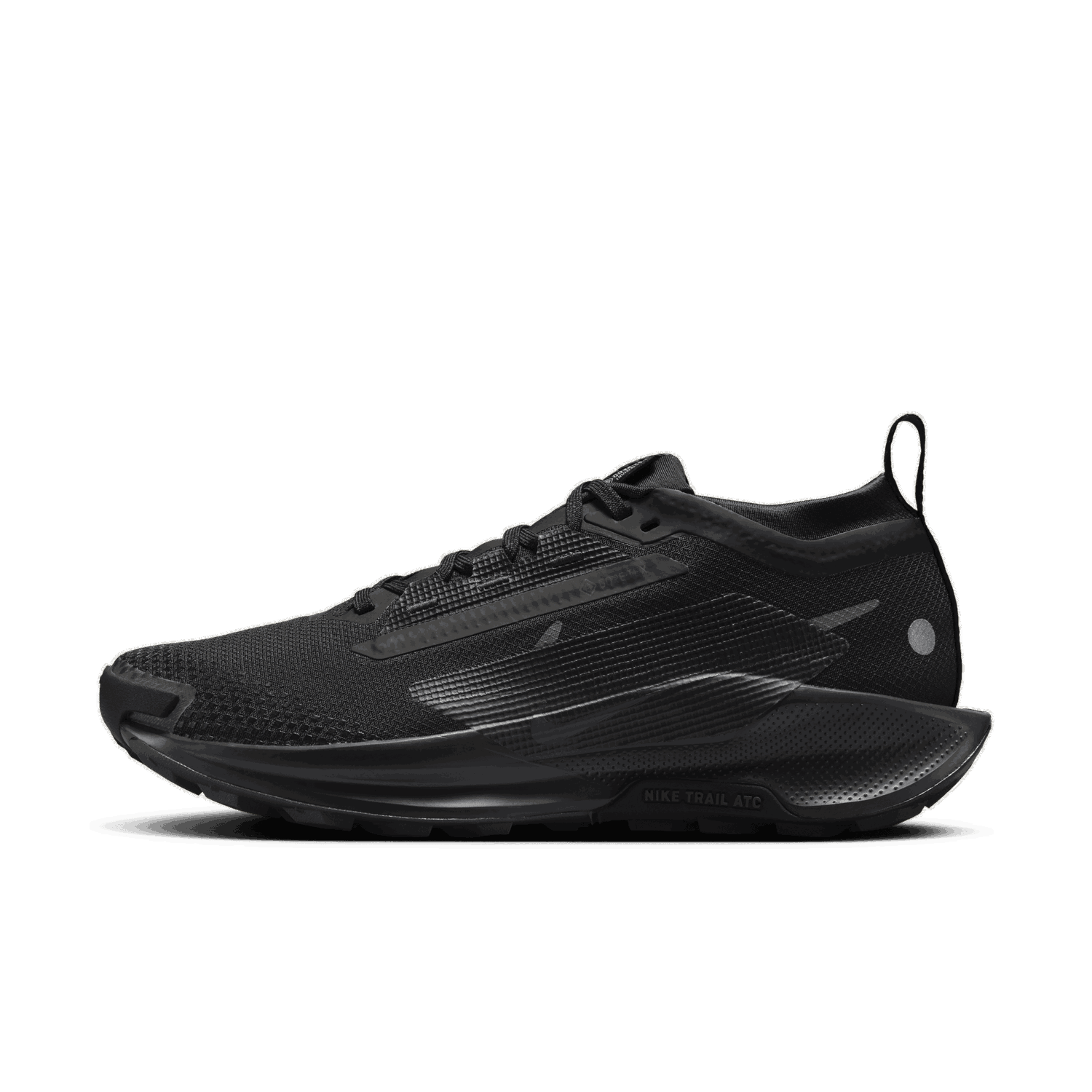 Sneakers og sko Nike Pegasus Trail 5 GORE-TEX Sort | FQ0912-002, 0