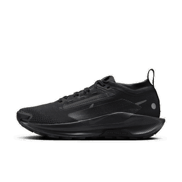 Sneakers og sko Nike Pegasus Trail 5 GORE-TEX Sort | FQ0912-002, 0