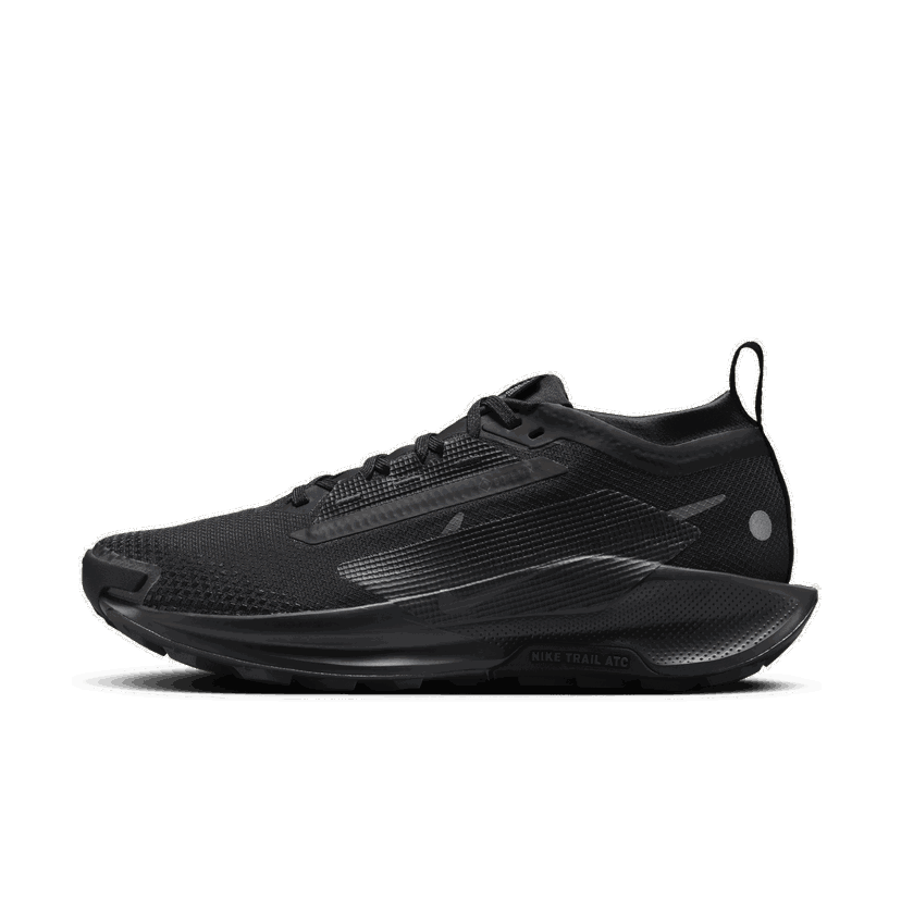 Løbe Nike Pegasus Trail 5 GORE-TEX Sort | FQ0912-002