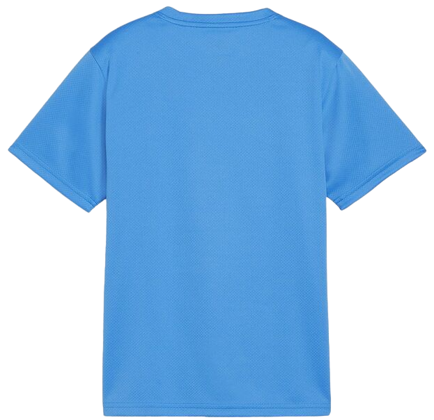 T-shirt Puma teamGOAL T-Shirt Turkis | 658636-02, 1