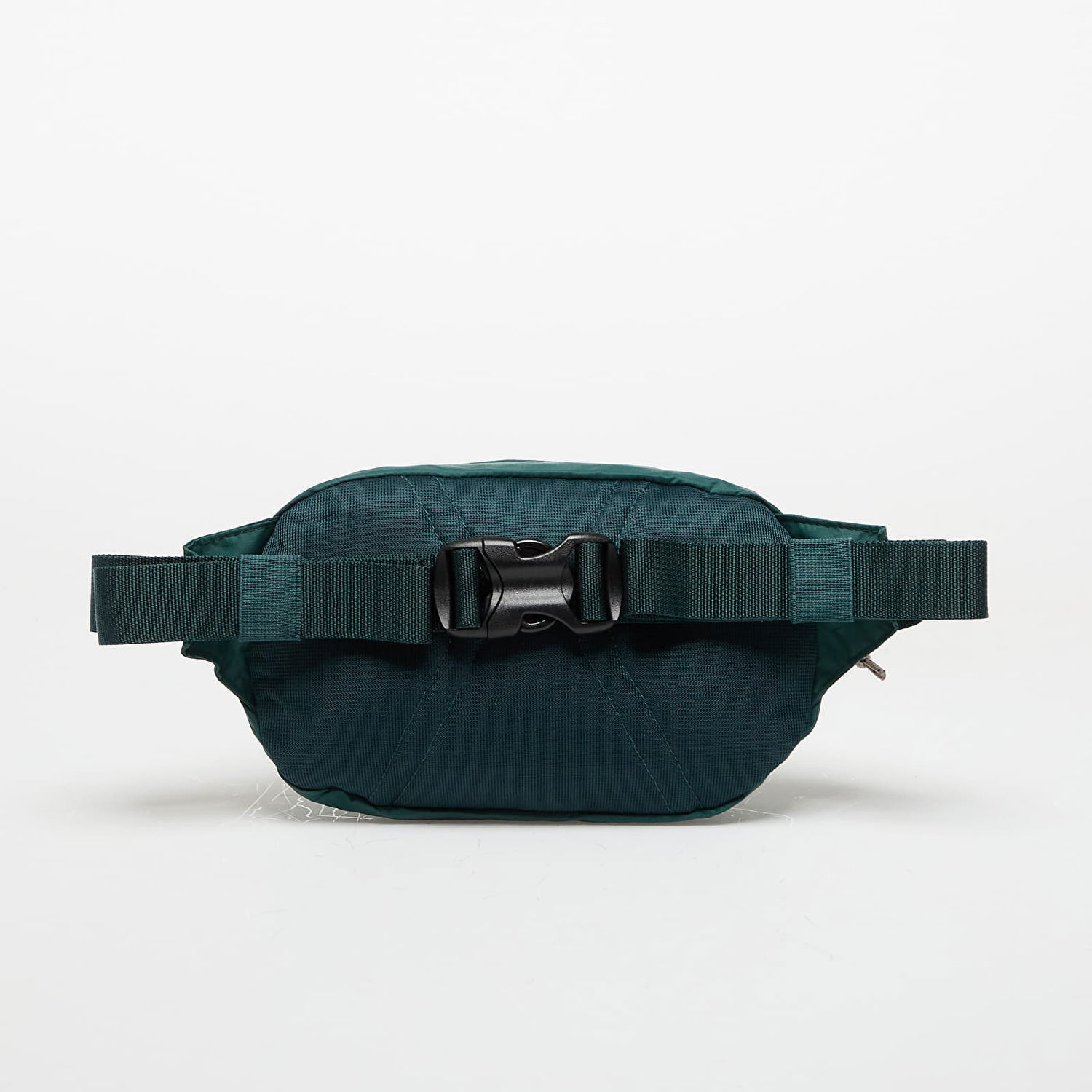 Taljetaske Patagonia Patagonia Terravia Mini Hip Pack Grøn | 49448 CASG, 1