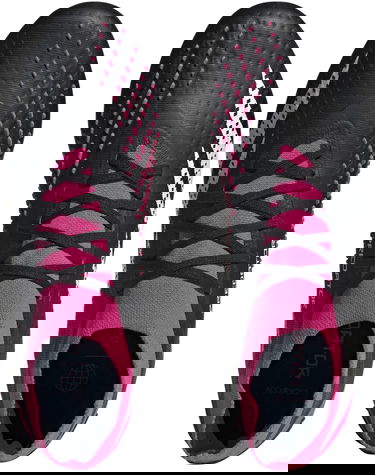 Sneakers og sko adidas Performance Predator Accuracy.2 FG Lyserød | gw4586, 1