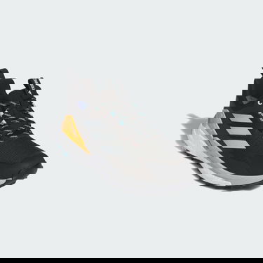 Sneakers og sko adidas Performance Terrex Free Hiker 2.0 Low GORE-TEX Hiking Sort | IG5460, 4
