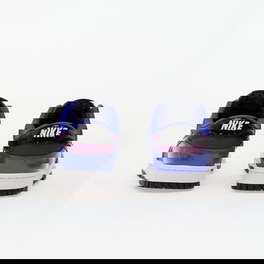 Sneakers og sko Nike Dunk Low Retro SE Viotech Lilla | IB6400-400, 4